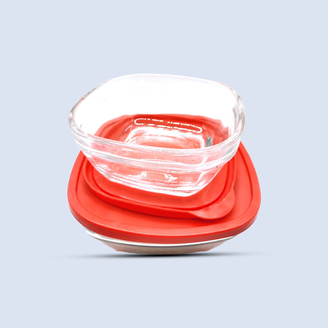 Fresh Guard glass container with lid removed