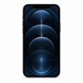 Apple iPhone 12 Pro front view — representative Graphite model illustration